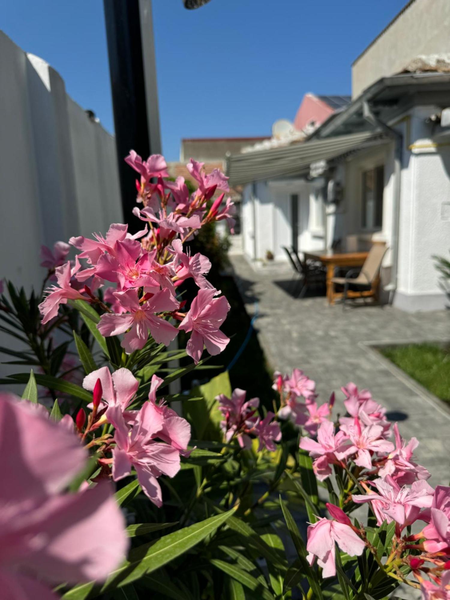 Villa Nord 22 Constanţa Esterno foto